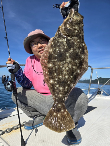 ヒラメの釣果