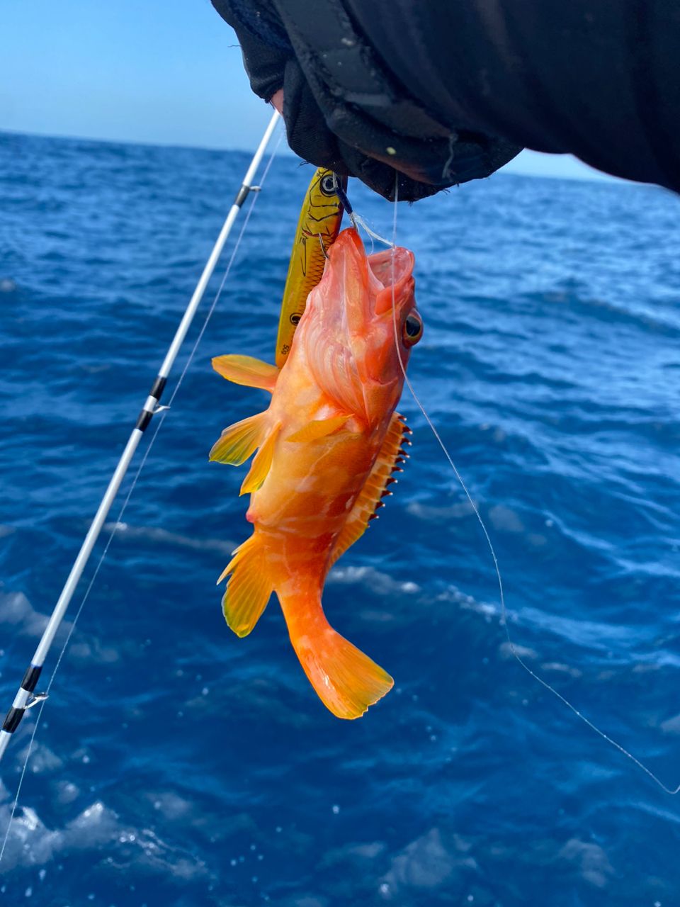 よっしー🎣さんの釣果 2枚目の画像