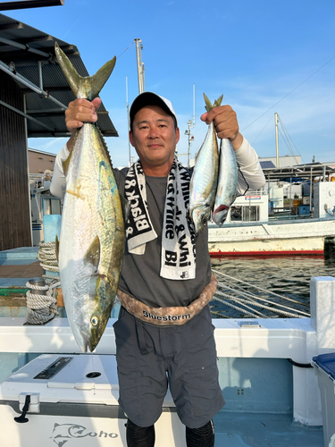 ブリの釣果