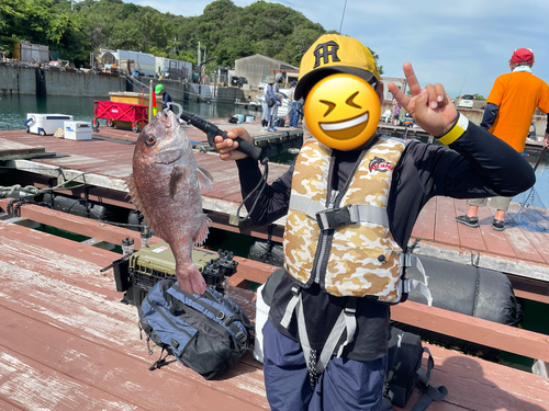 タイの釣果