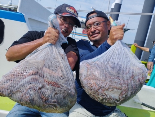 マダコの釣果