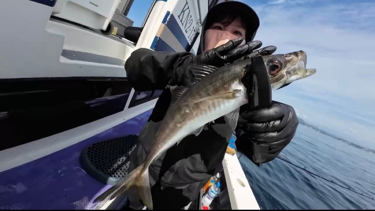 あや🐟さんの釣果 2枚目の画像