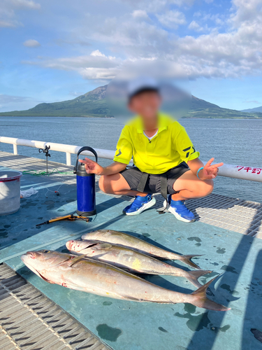 カンパチの釣果