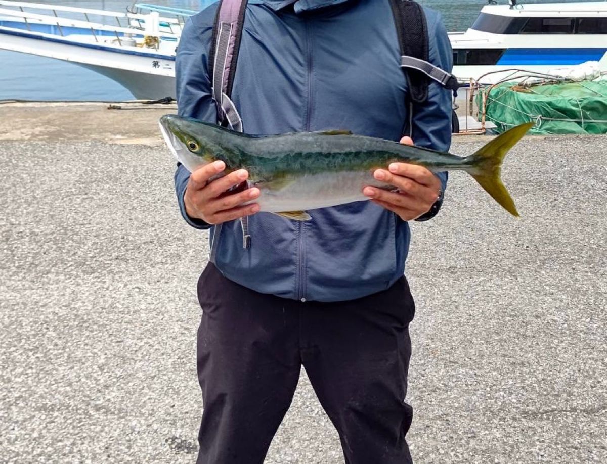 大堂渡の釣り日和さんの釣果 2枚目の画像