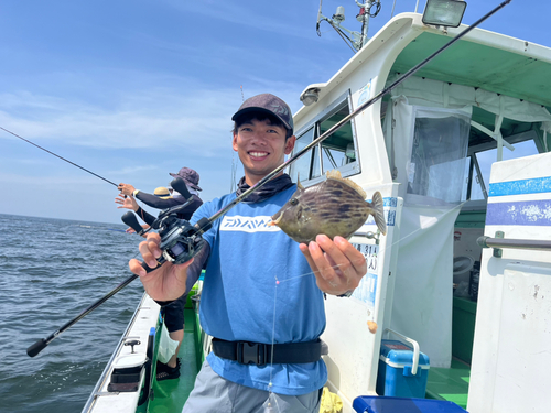 カワハギの釣果