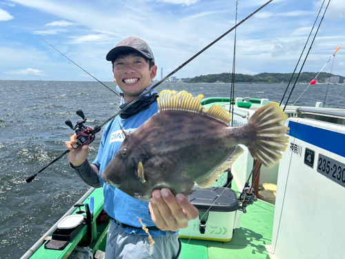 カワハギの釣果