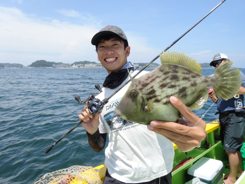 カワハギの釣果