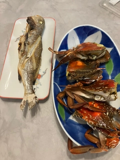 イシモチの釣果