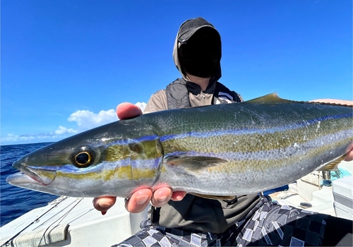 ツムブリの釣果