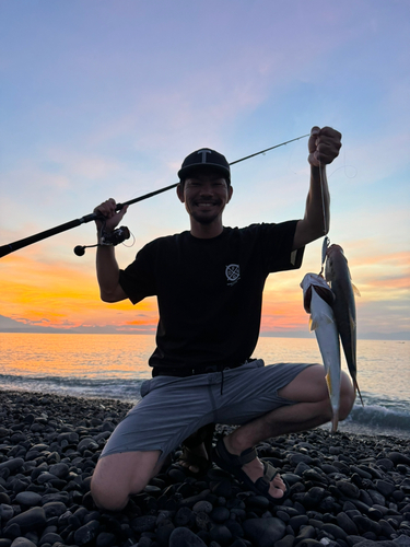 ショゴの釣果