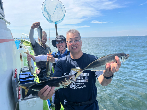 マアジの釣果