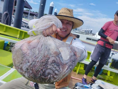 マダコの釣果