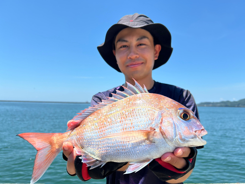 タイの釣果