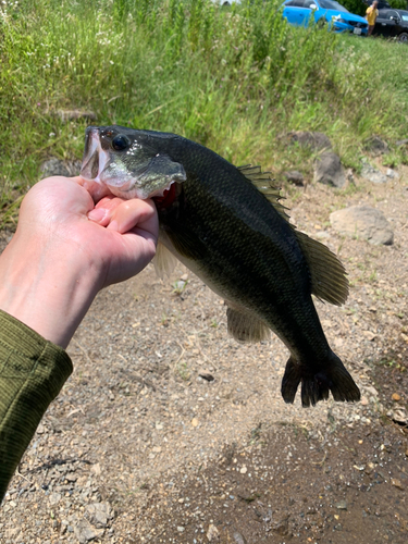 釣果