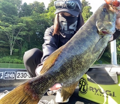 スモールマウスバスの釣果