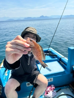 オオモンハタの釣果