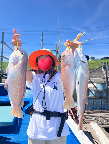 アマダイの釣果