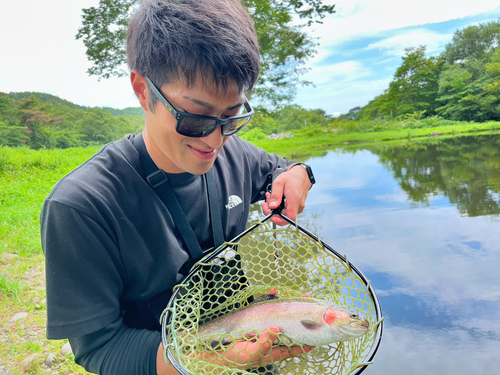 ニジマスの釣果