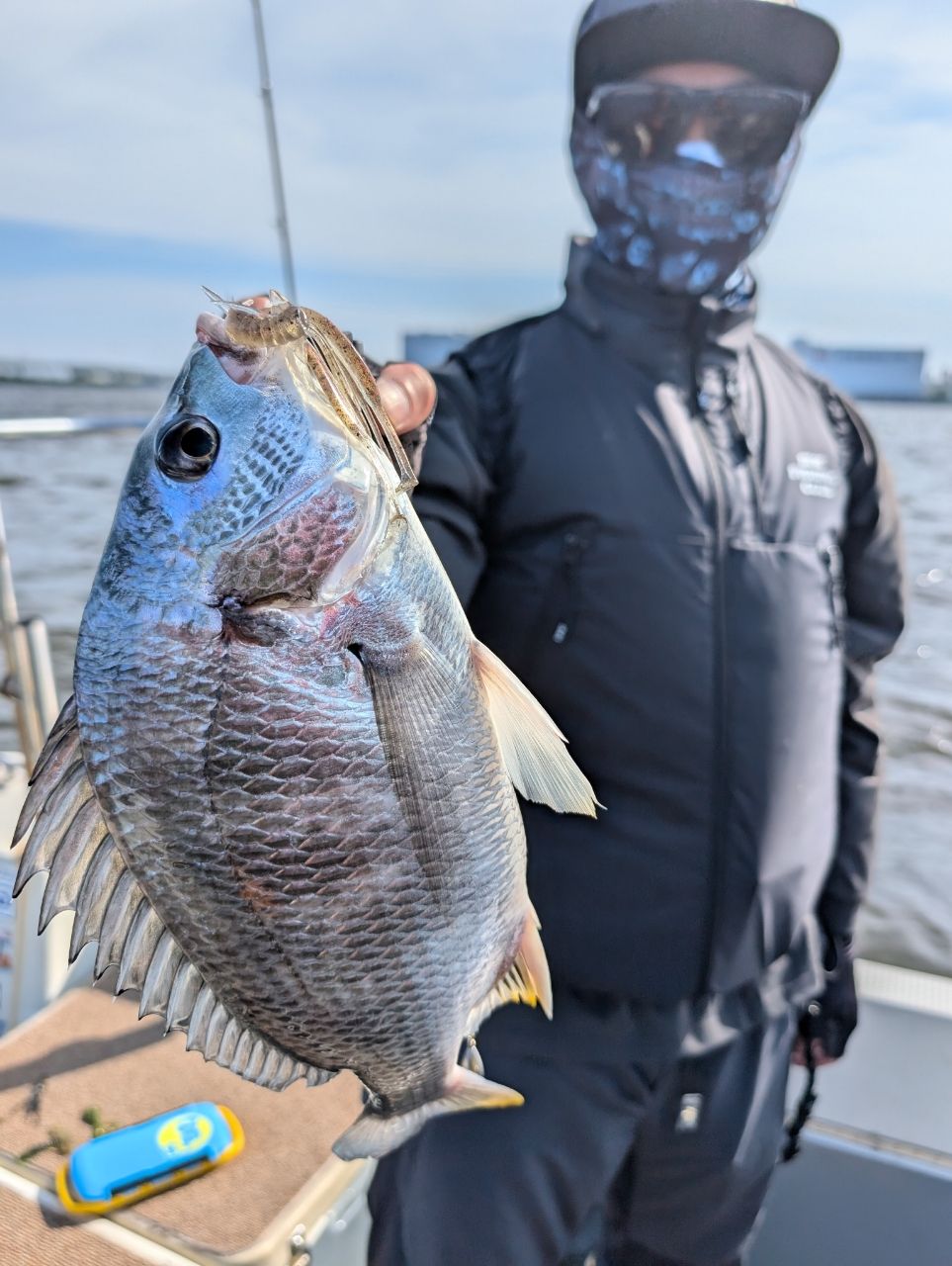 ゴーゴーガイドサービスさんの釣果 2枚目の画像
