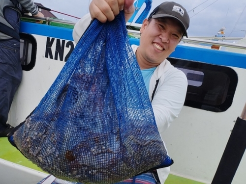 マダコの釣果