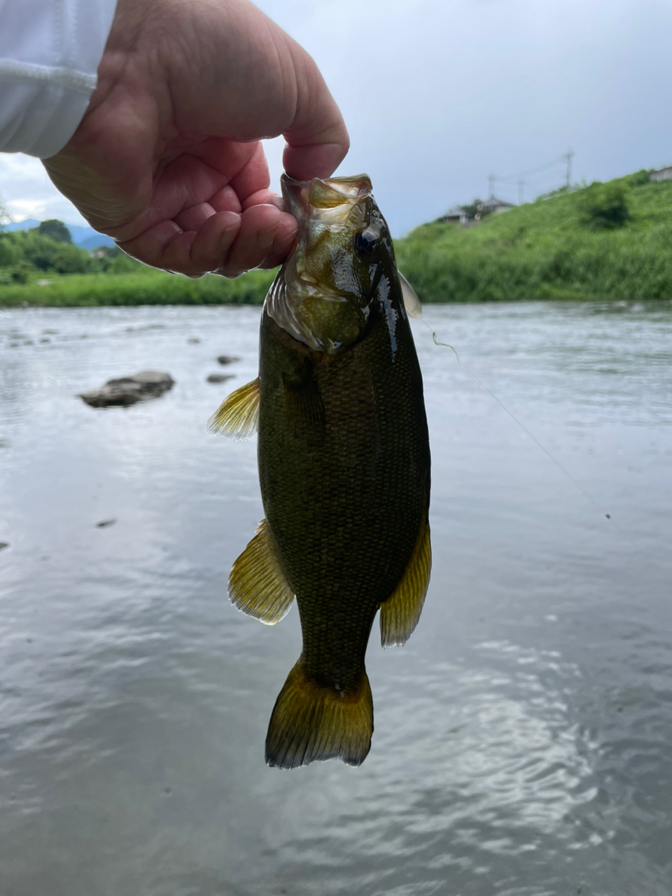 スモールマウスバス