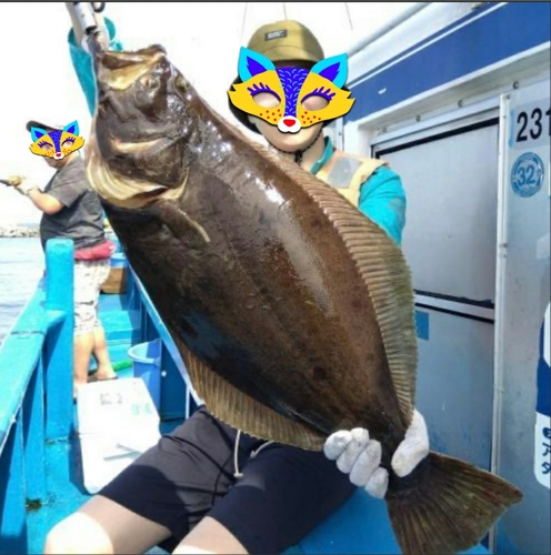 ヒラメの釣果