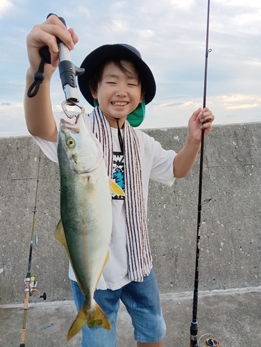 イナダの釣果