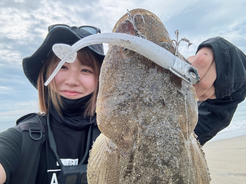 マゴチの釣果