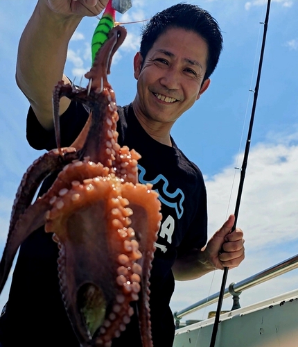 タコの釣果