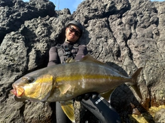 ショゴの釣果