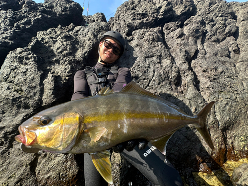 ショゴの釣果