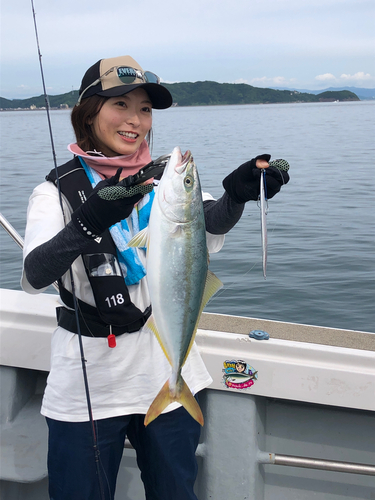 ハマチの釣果