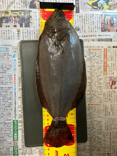 ソゲの釣果