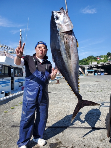 メバチマグロの釣果