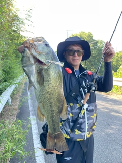 ブラックバスの釣果