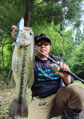 ブラックバスの釣果