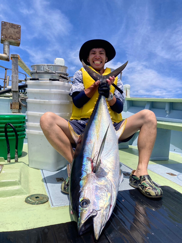 キハダマグロの釣果