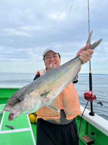 カンパチの釣果