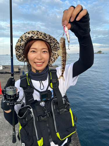 ショゴの釣果