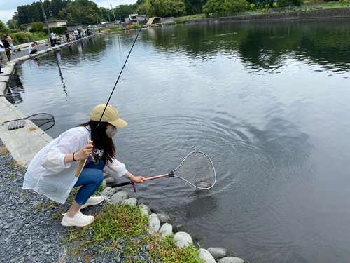 ニジマスの釣果