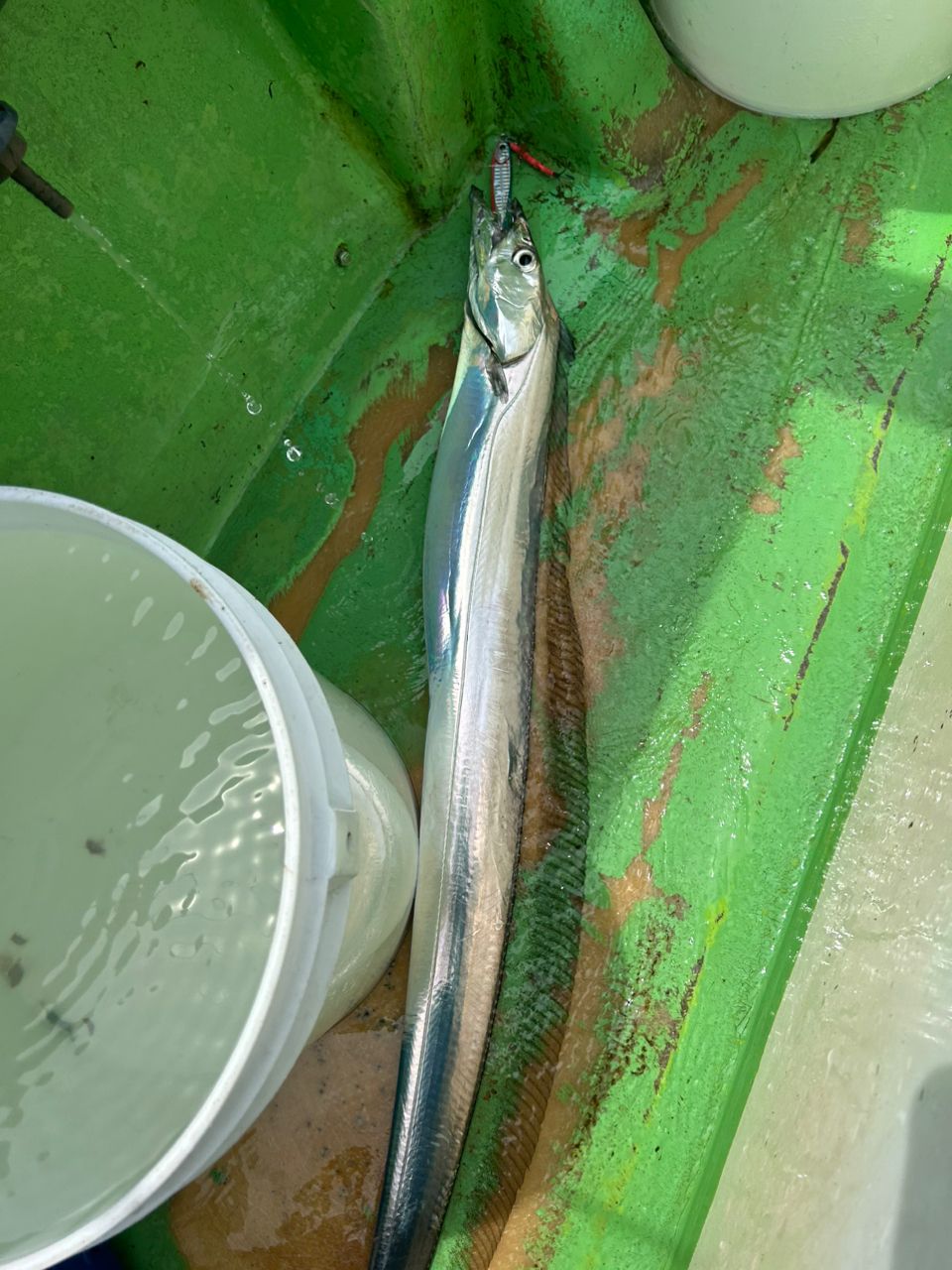 OJ0702さんの釣果 2枚目の画像