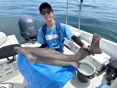 モミジザメの釣果