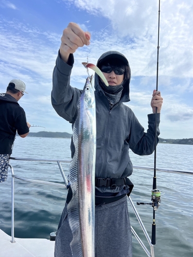 タチウオの釣果