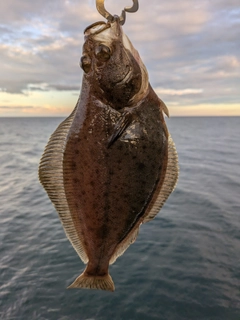 ソウハチの釣果