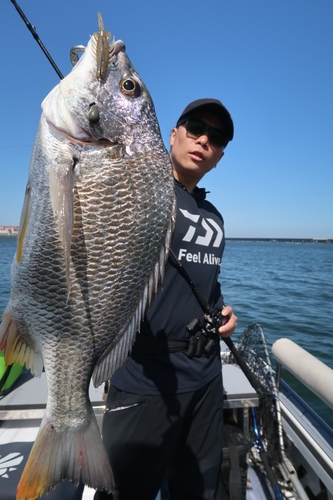 キビレの釣果