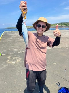 ソウダガツオの釣果