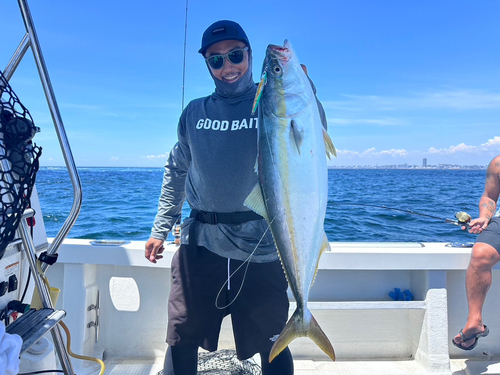 メジロの釣果