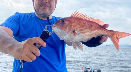 タイの釣果