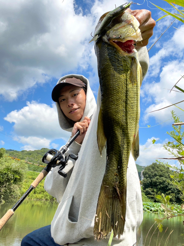 ブラックバスの釣果