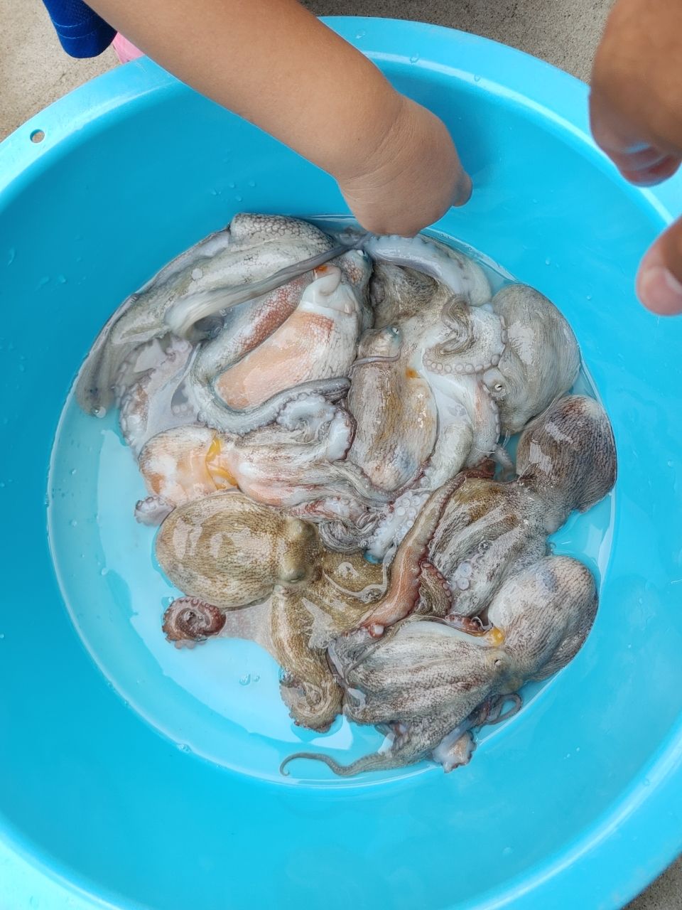 かずまっささんの釣果 1枚目の画像